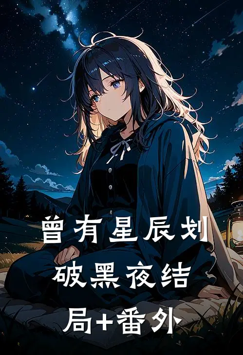 曾有星辰划破黑夜结局+番外