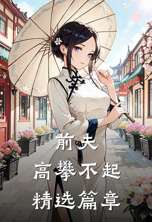 前夫，高攀不起精选篇章