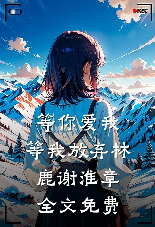 等你爱我，等我放弃林鹿谢淮章全文免费