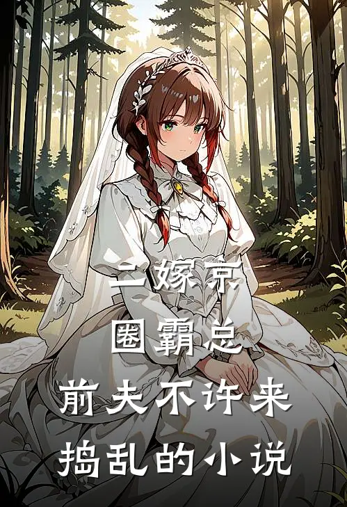 二嫁京圈霸总，前夫不许来捣乱的小说
