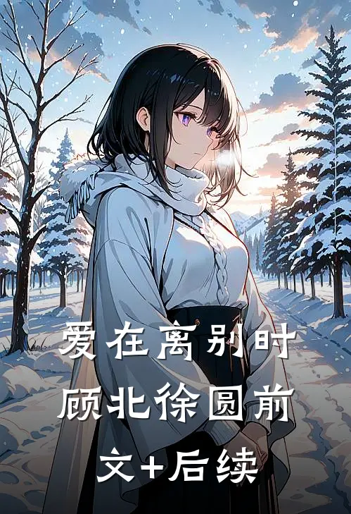 爱在离别时顾北徐圆前文+后续