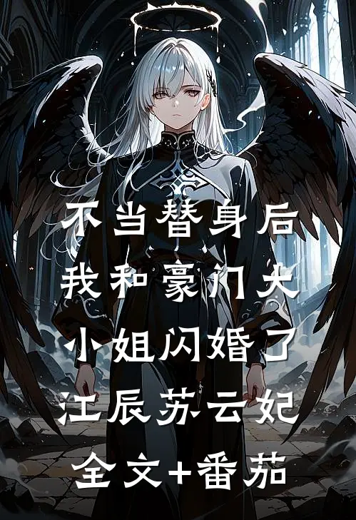 不当替身后，我和豪门大小姐闪婚了江辰苏云妃全文+番茄