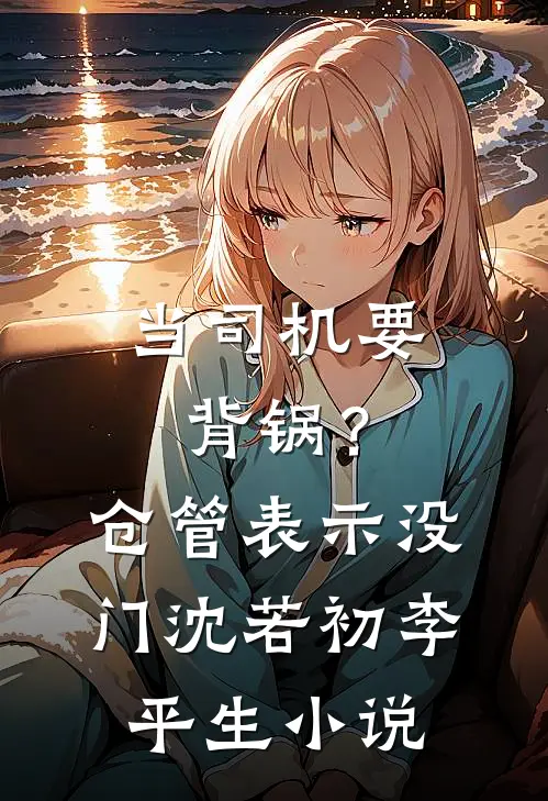 当司机要背锅？仓管表示没门沈若初李平生小说