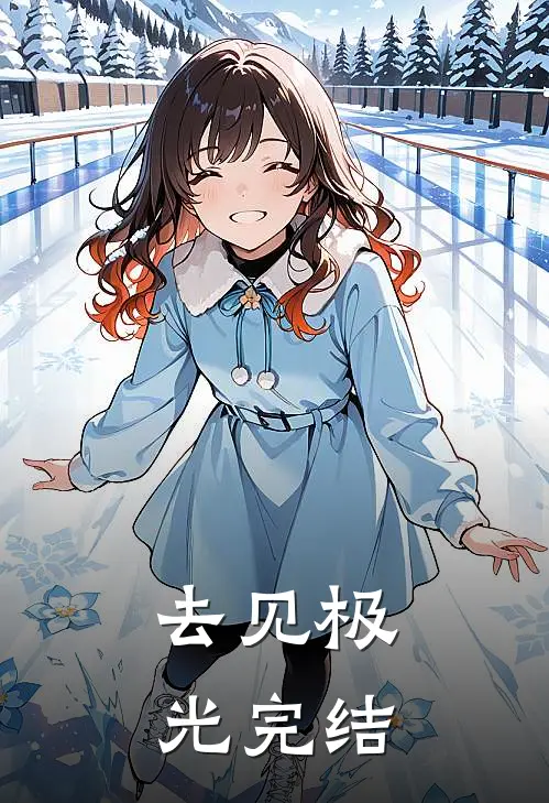 去见极光完结