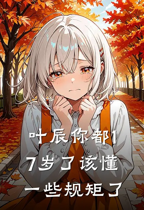 叶辰你都17岁了该懂一些规矩了