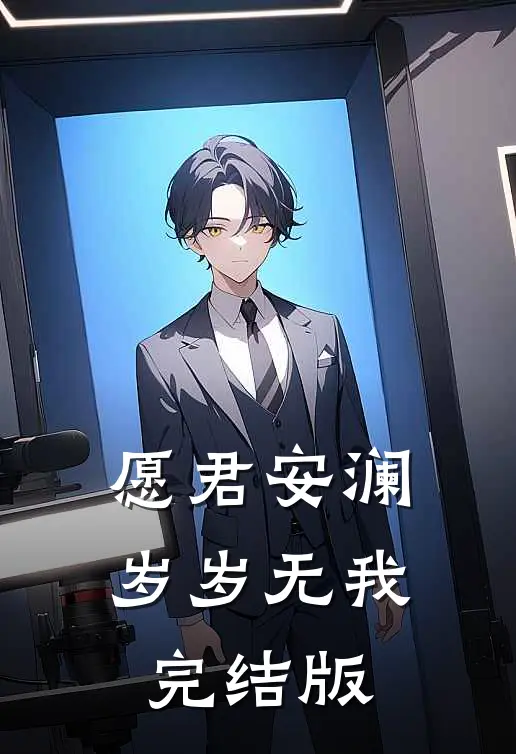 愿君安澜，岁岁无我完结版
