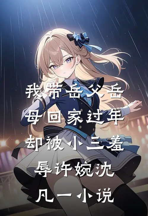 我带岳父岳母回家过年，却被小三羞辱许婉沈凡一小说