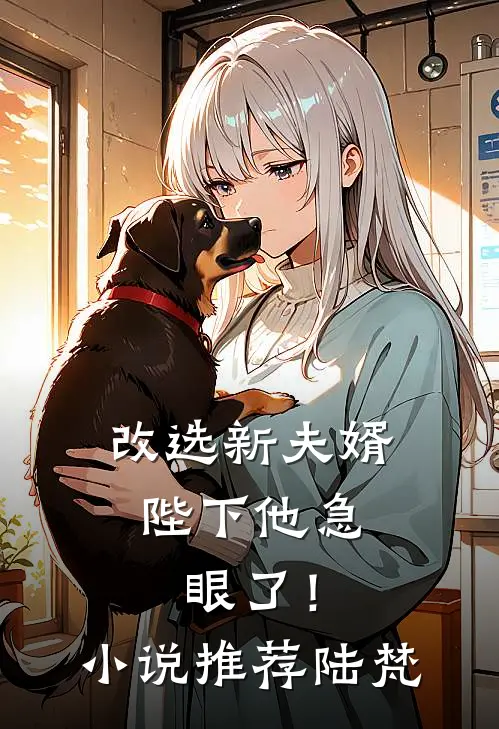 改选新夫婿，陛下他急眼了！小说推荐陆梵