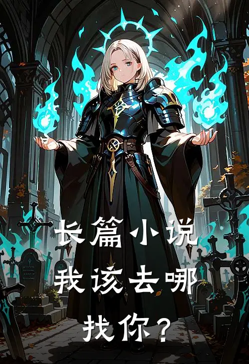 长篇小说我该去哪找你？