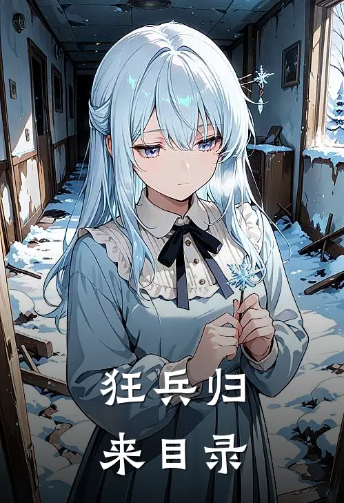 狂兵归来目录