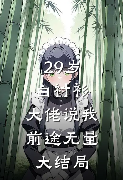 29岁白衬衫，大佬说我前途无量大结局