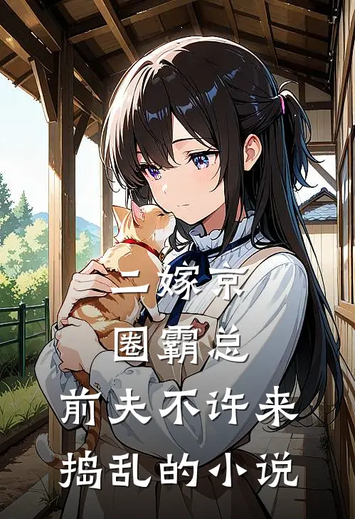 二嫁京圈霸总，前夫不许来捣乱的小说