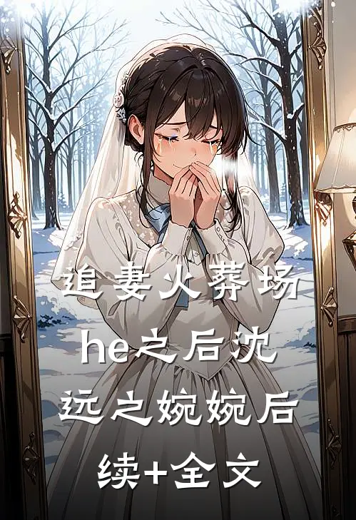 追妻火葬场he之后沈远之婉婉后续+全文