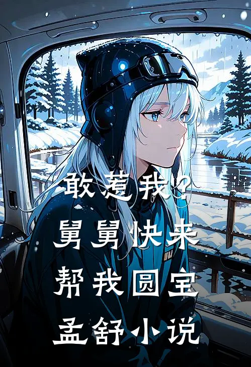 敢惹我？舅舅快来帮我圆宝孟舒小说