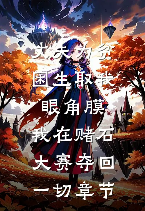 丈夫为贫困生取我眼角膜，我在赌石大赛夺回一切章节