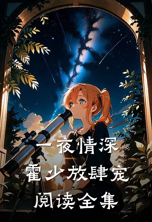 一夜情深：霍少放肆宠阅读全集
