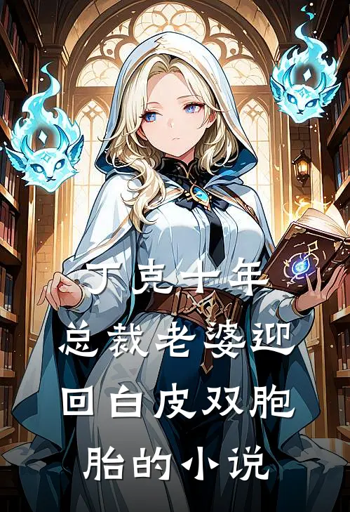 丁克十年，总裁老婆迎回白皮双胞胎的小说