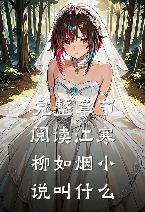 完整章节阅读江寒柳如烟小说叫什么