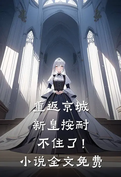 重返京城，新皇按耐不住了！小说全文免费