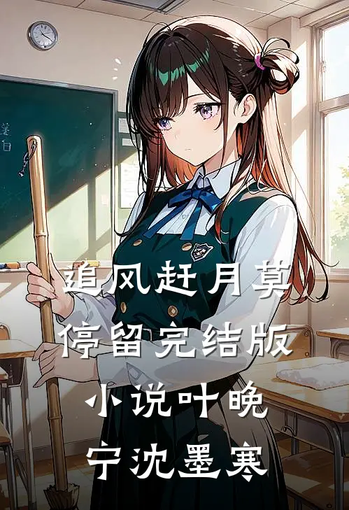 追风赶月莫停留完结版小说叶晚宁沈墨寒