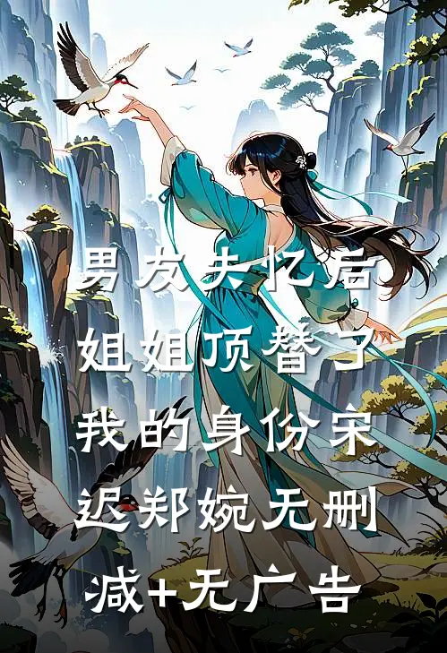 男友失忆后，姐姐顶替了我的身份宋迟郑婉无删减+无广告