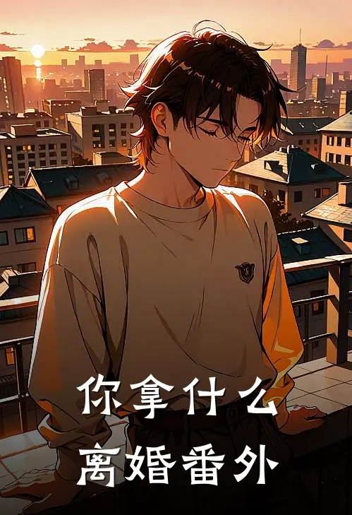 你拿什么离婚 番外