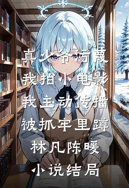 真少爷污蔑我拍小电影，我主动传播被抓牢里蹲林凡陈暖小说结局