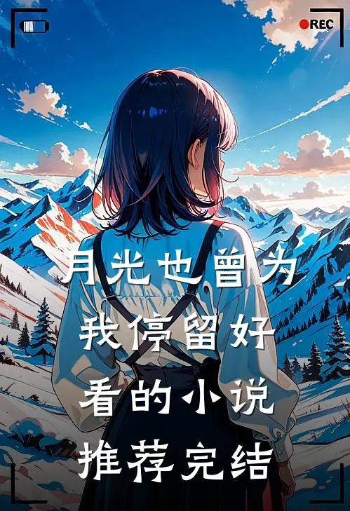 月光也曾为我停留好看的小说推荐完结