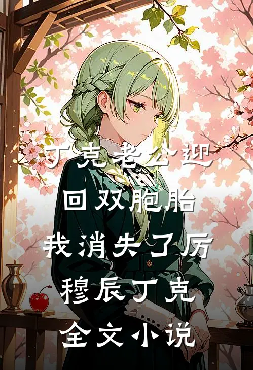 丁克老公迎回双胞胎，我消失了厉穆辰丁克全文小说