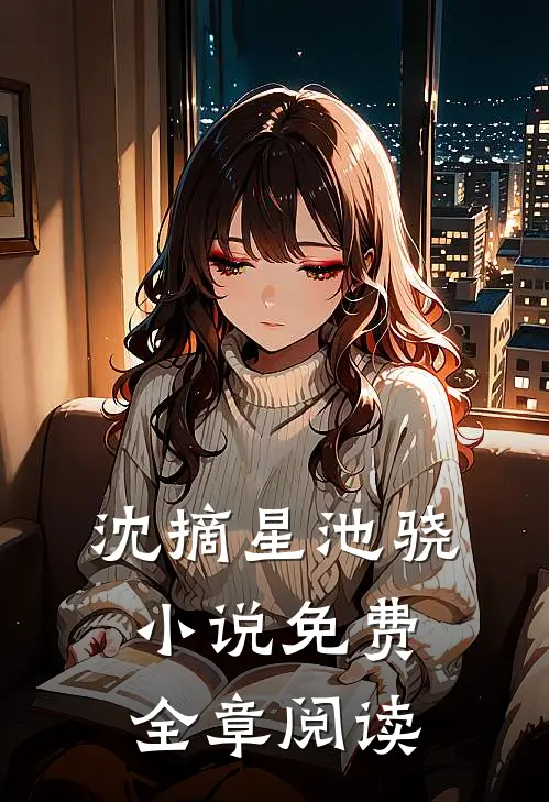 沈摘星池骁小说免费全章阅读