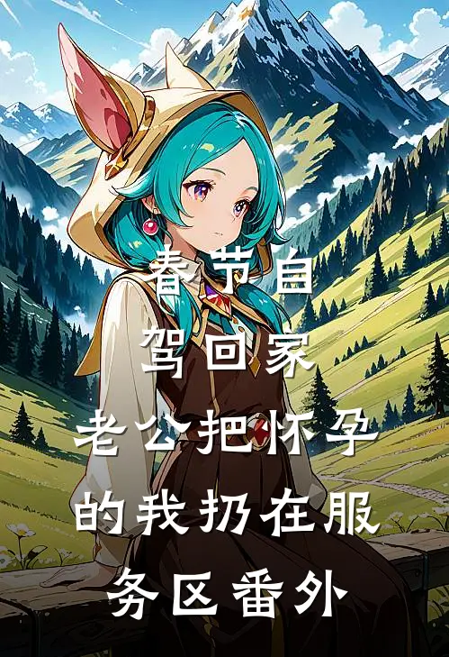 春节自驾回家，老公把怀孕的我扔在服务区番外