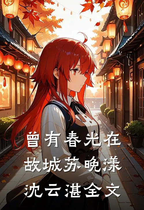 曾有春光在故城苏晚漾沈云湛全文
