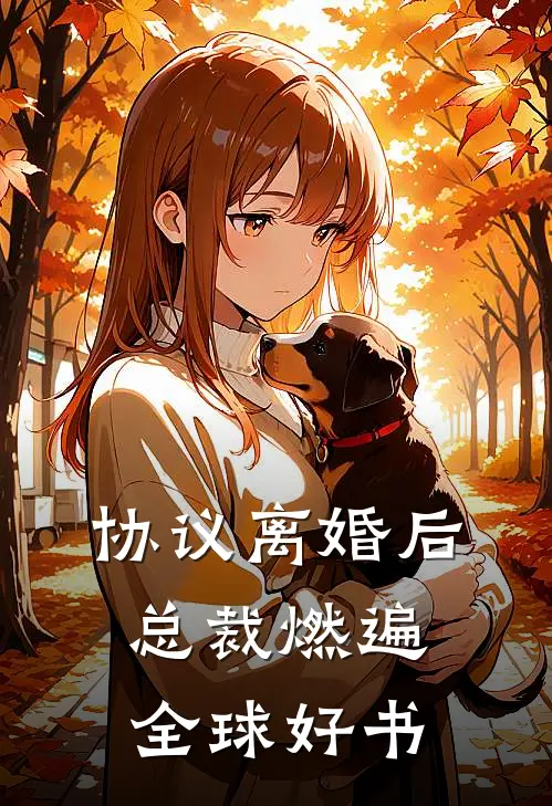 协议离婚后，总裁燃遍全球好书