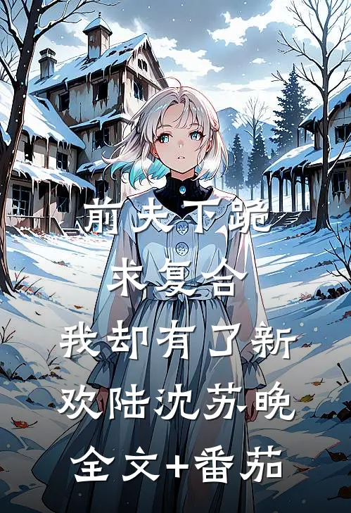 前夫下跪求复合，我却有了新欢陆沈苏晚全文+番茄