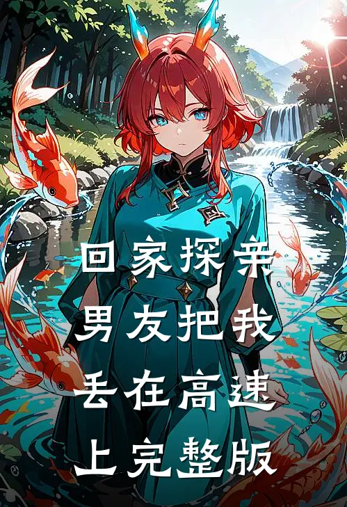 回家探亲，男友把我丢在高速上完整版