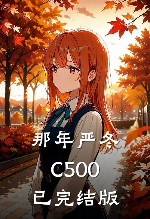 那年严冬C500已完结版