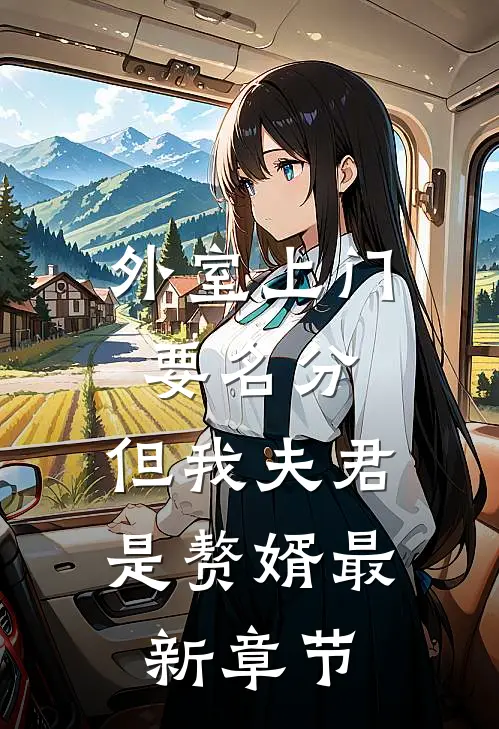 外室上门要名分，但我夫君是赘婿最新章节