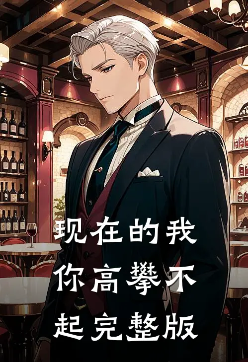 现在的我你高攀不起完整版