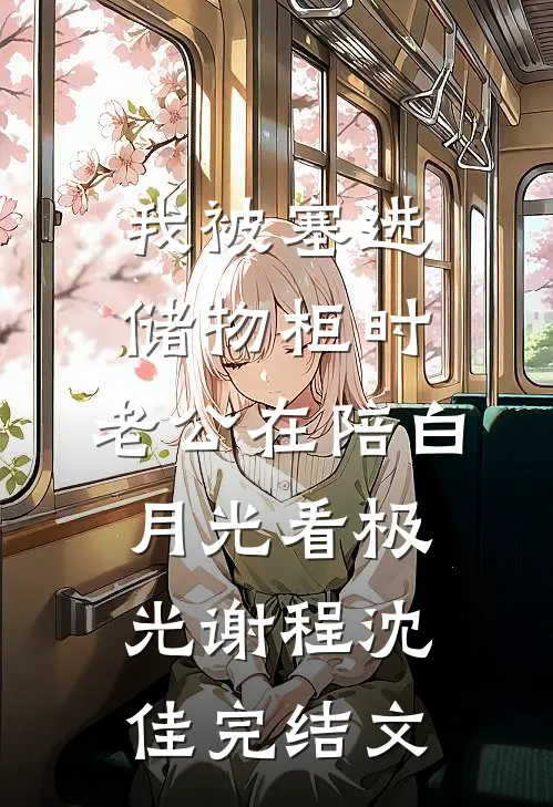 我被塞进储物柜时，老公在陪白月光看极光谢程沈佳完结文