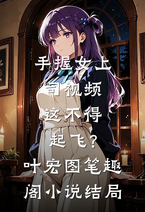 手握女上司视频，这不得起飞？叶宏图笔趣阁小说结局