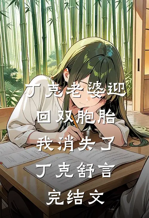 丁克老婆迎回双胞胎，我消失了丁克舒言完结文