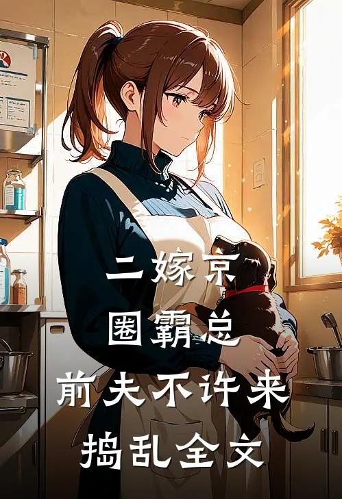 二嫁京圈霸总，前夫不许来捣乱全文