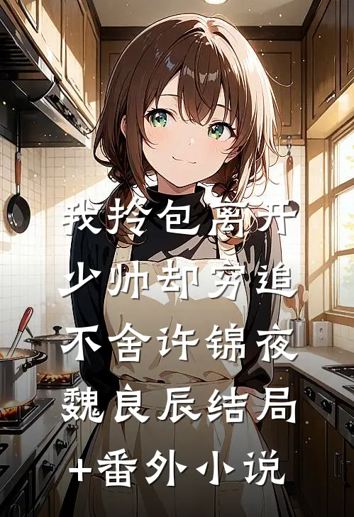 我拎包离开，少帅却穷追不舍许锦夜魏良辰结局+番外小说