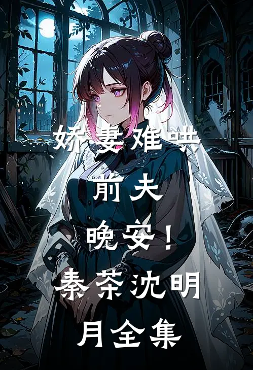 娇妻难哄：前夫，晚安！秦茶沈明月 全集