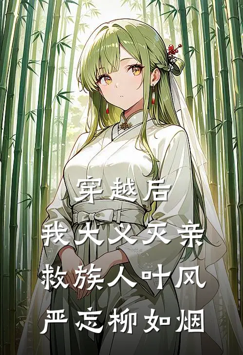 穿越后，我大义灭亲救族人叶风严忘柳如烟