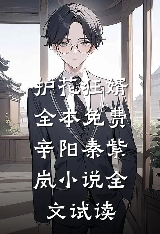 护花狂婿全本免费辛阳秦紫岚小说全文试读