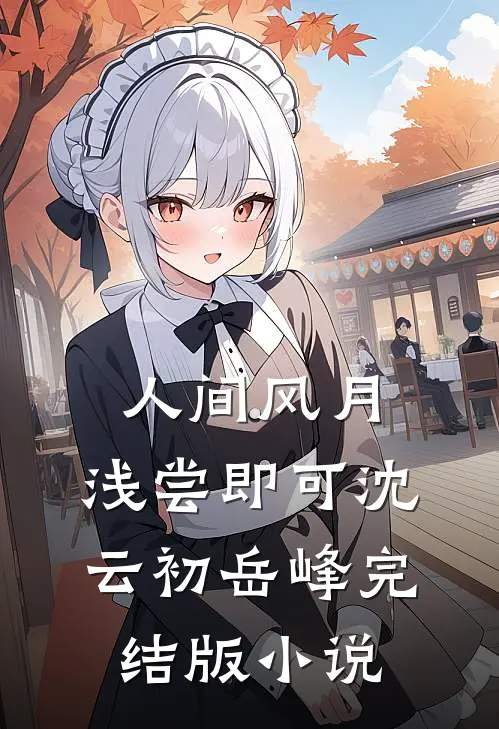 人间风月，浅尝即可沈云初岳峰完结版小说