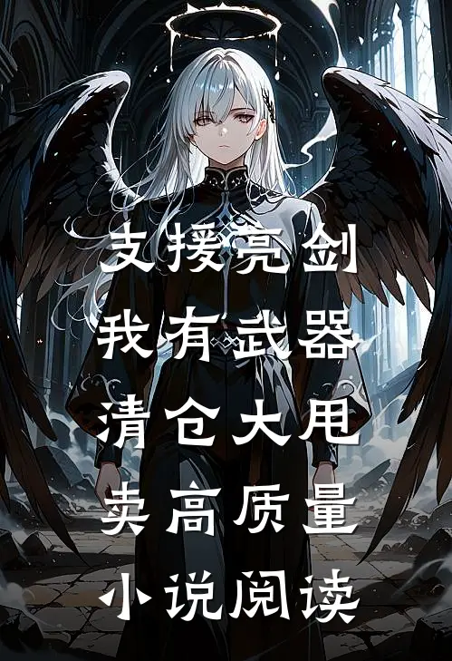 支援亮剑：我有武器清仓大甩卖高质量小说阅读