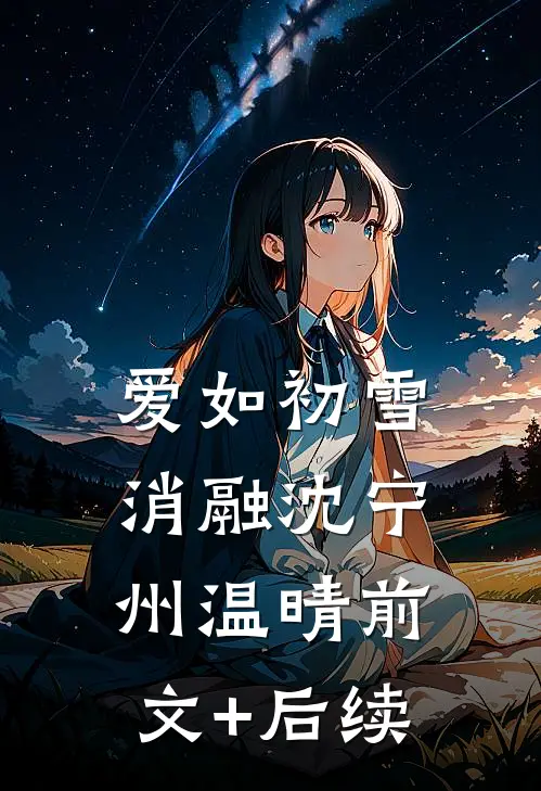 爱如初雪消融沈宁州温晴前文+后续