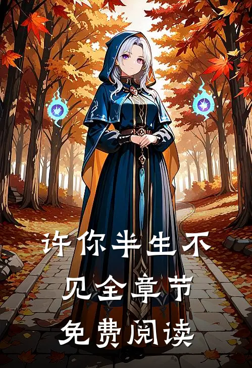 许你半生不见全章节免费阅读
